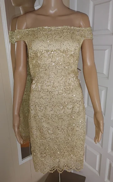 lace maxi bodycon dress EVIE BLACK CRYSTAL LACE BODYCON DRESS | CULT MIA main image 1